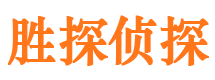 岭东胜探私家侦探公司